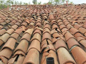 wind mitigation inspection